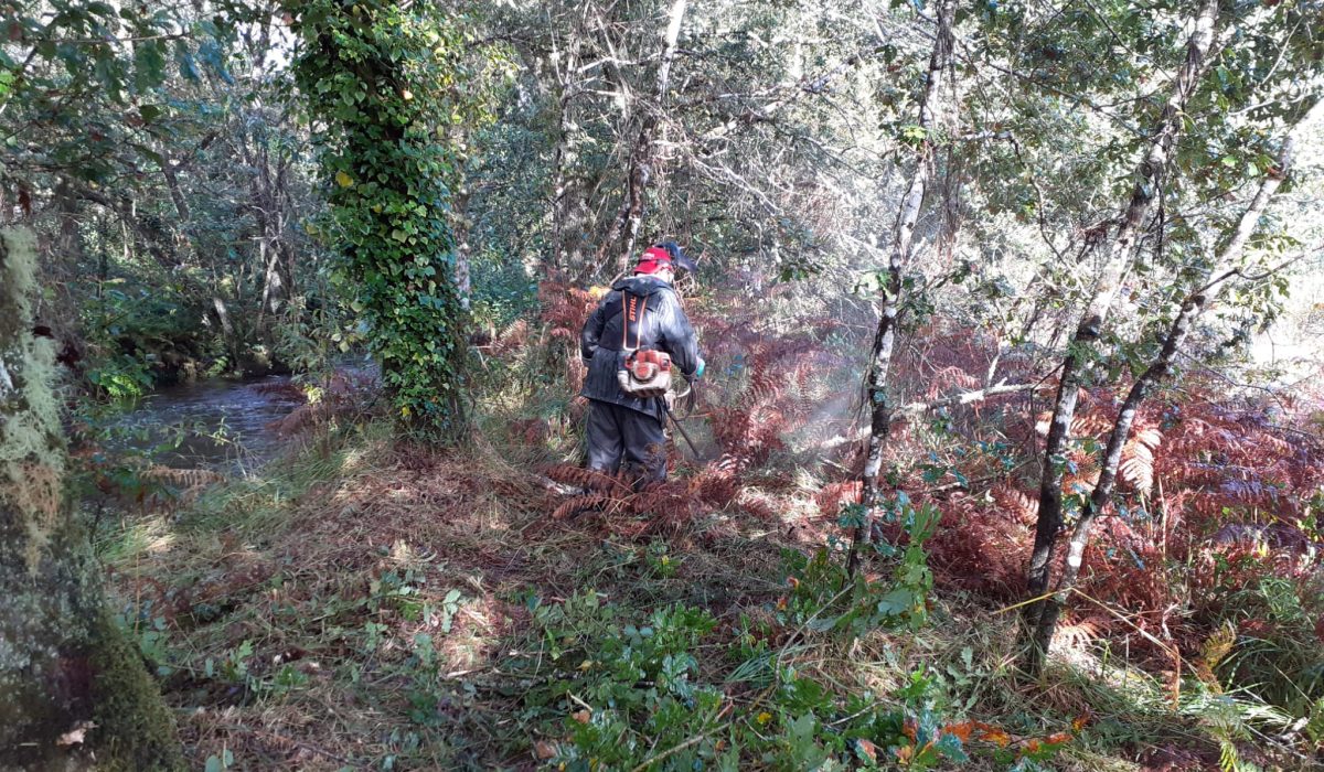 limpeza_trail