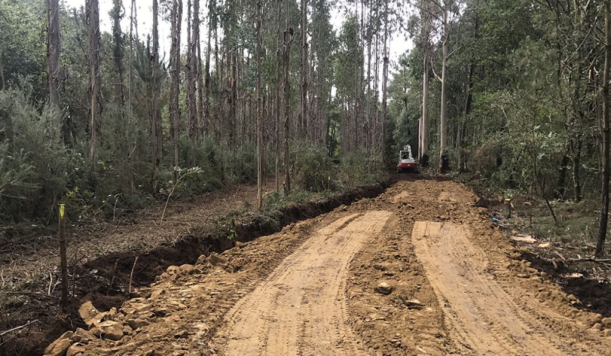 melloras_caminos_forestais_concello_zas