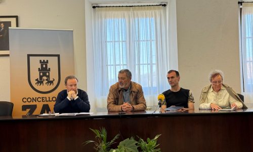 presentacion-simposio-lino-zas