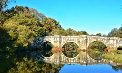 Ruta Brandomil Romano