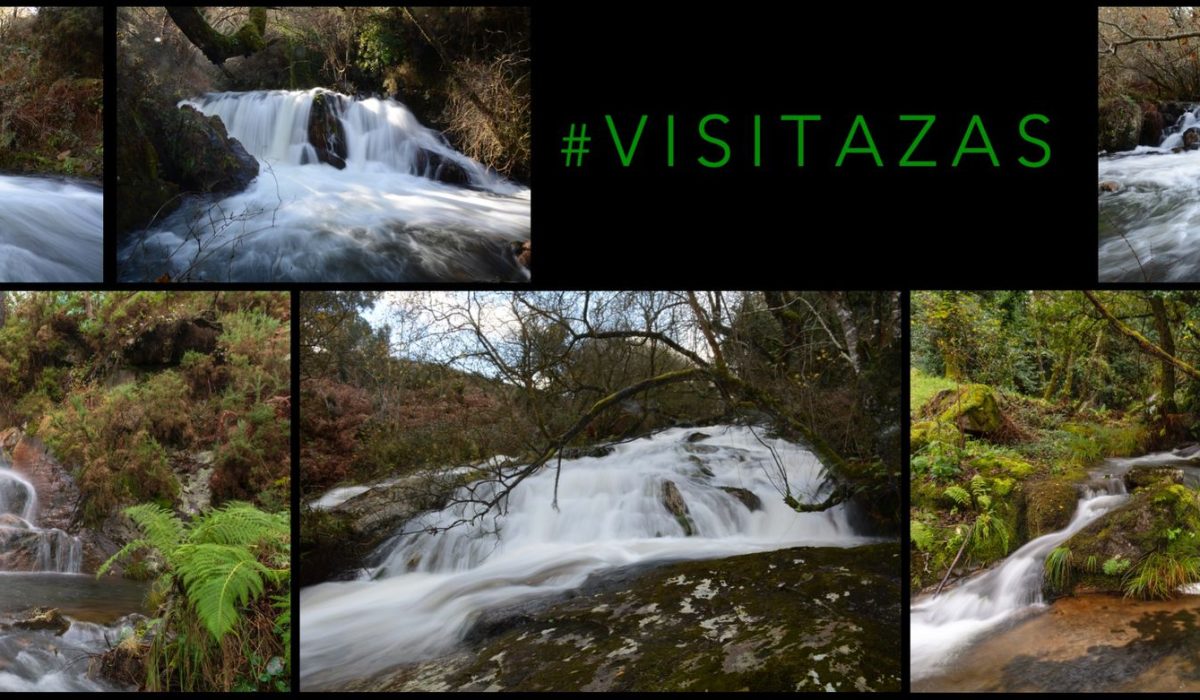 visitazas
