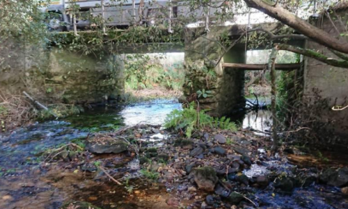 zas-ampliacion-ponte-allo