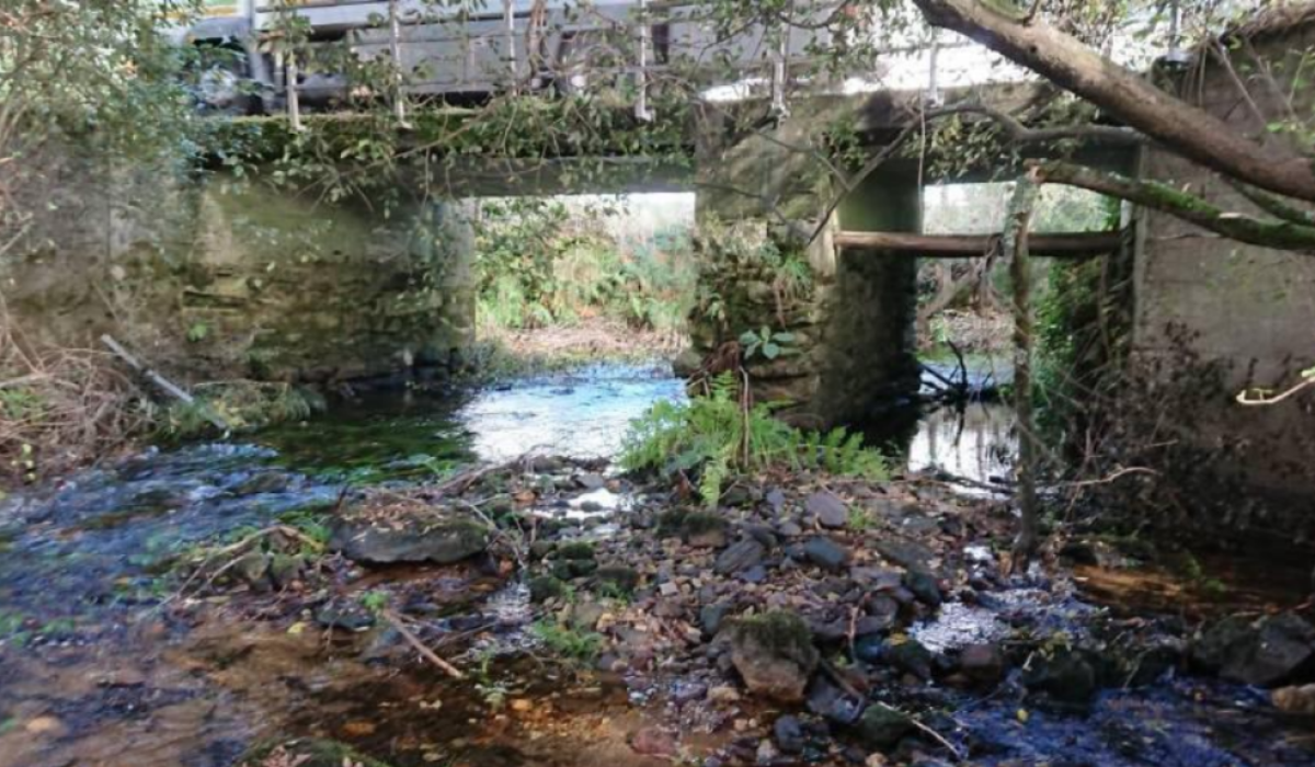 zas-ampliacion-ponte-allo